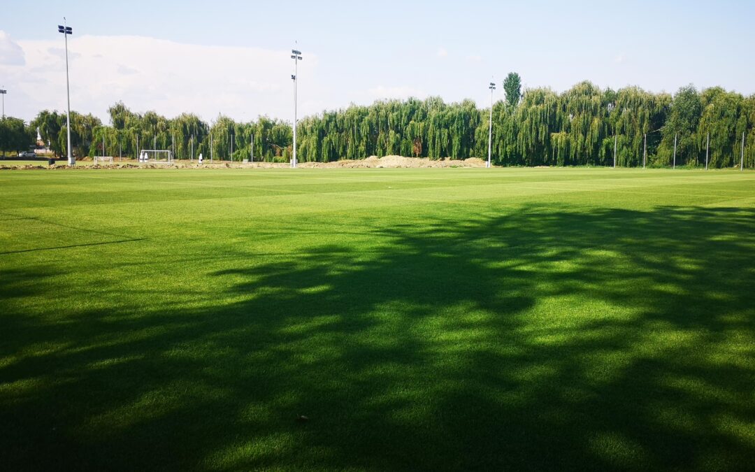 CSU Craiova – Крайова, Румъния