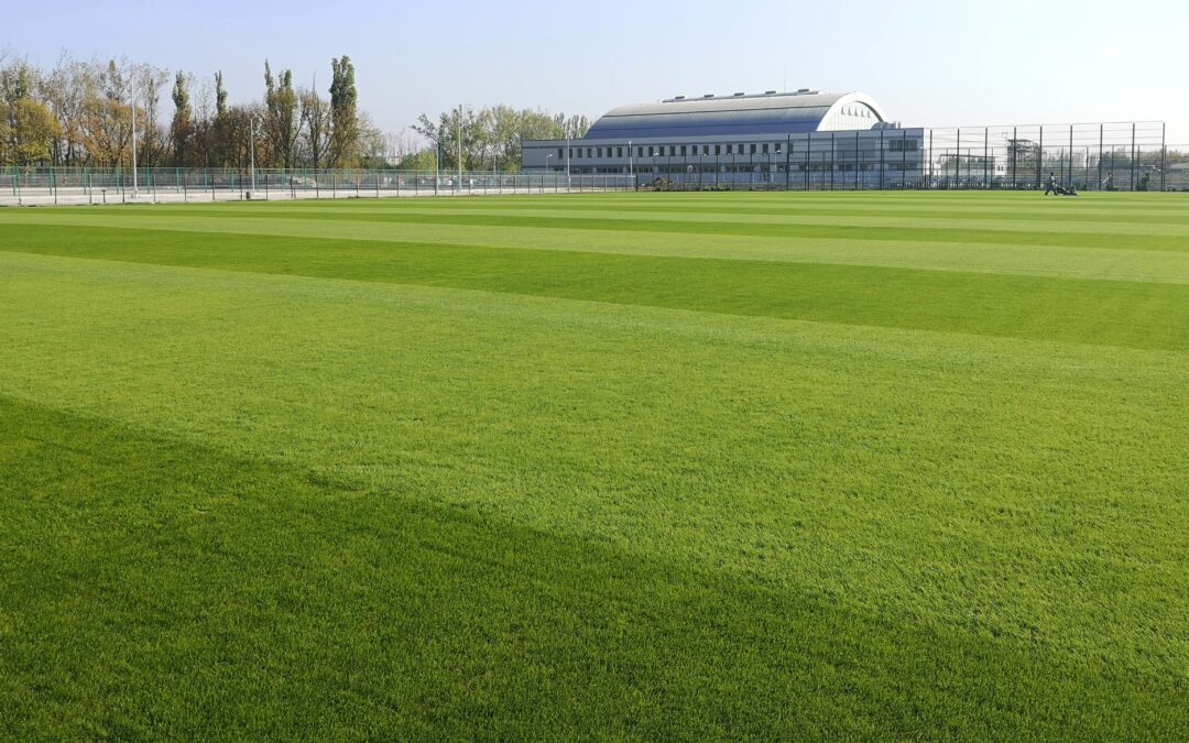 CSA STEAUA