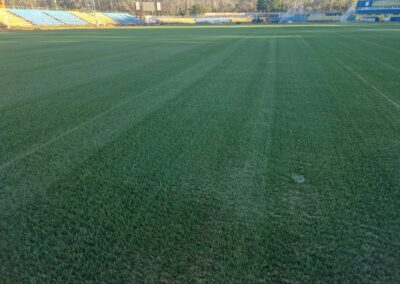 1 Mai Stadium – Slobozia, Румъния
